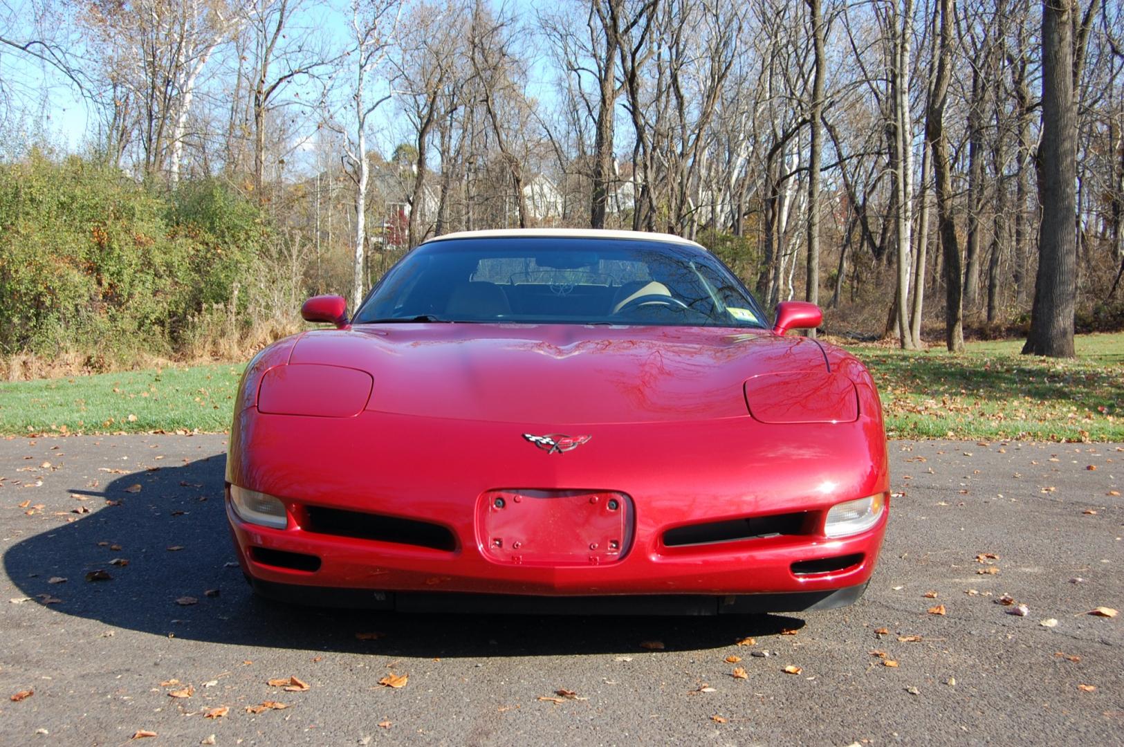 1998 Burgundy /Beige Leather Chevrolet Corvette (1G1YY32G9W5) with an 5.7 liter V8 engine, Automatic transmission, located at 6528 Lower York Road, New Hope, PA, 18938, (215) 862-9555, 40.358707, -74.977882 - Photo#5